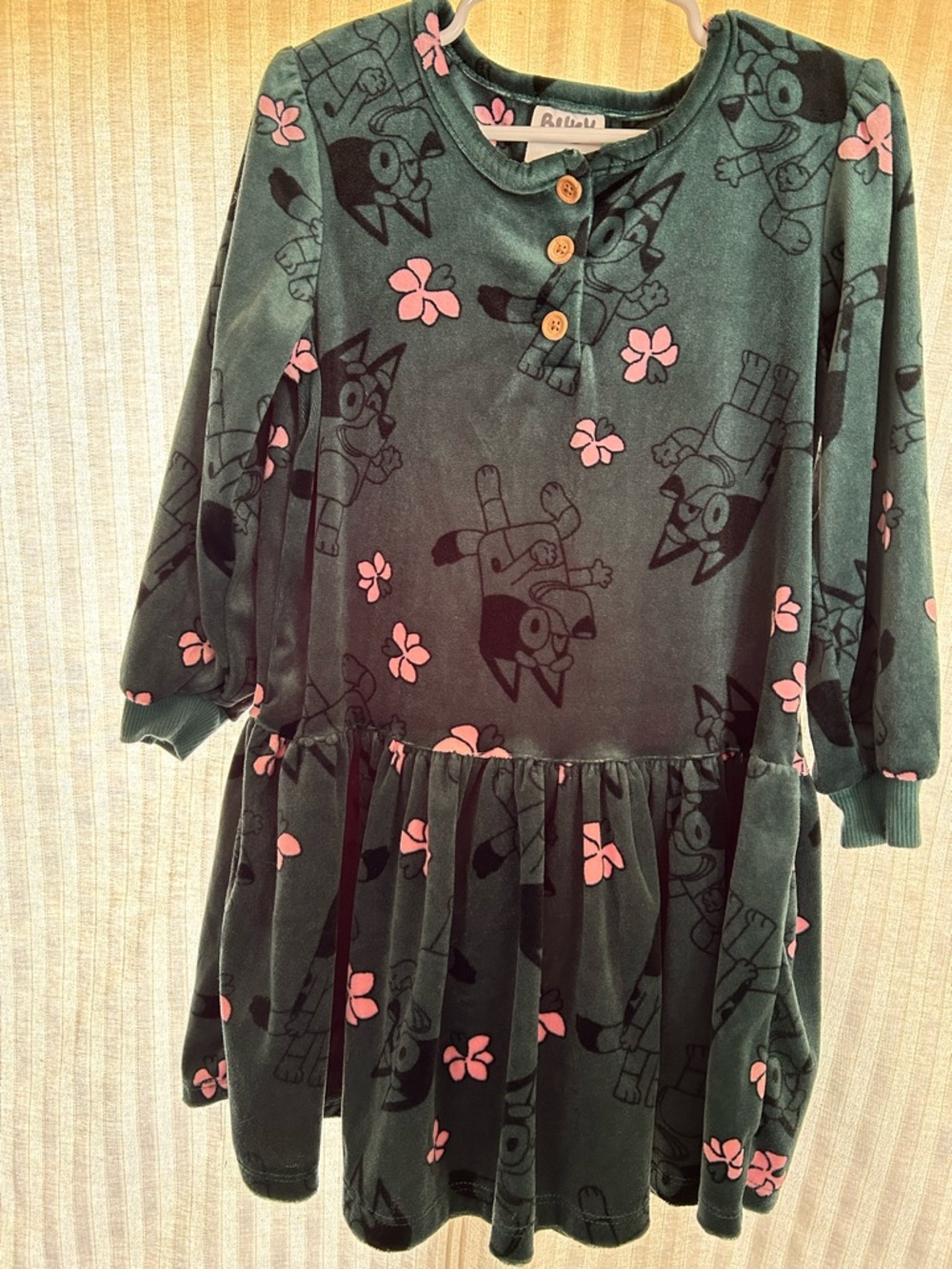 Bluey Girls' Green Velvet Long-Sleeve Casual Dress with Pink Flower Print 5T